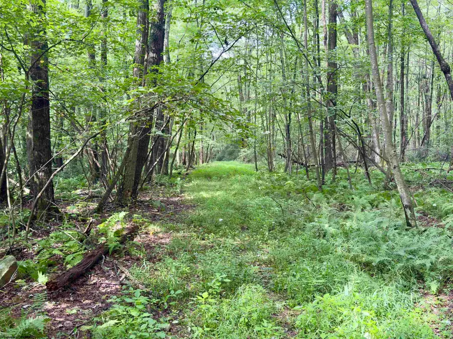 1261 Beaver Creek Drive, Bruceton Mills, WV 26525 - #3