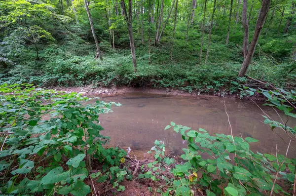 Lot 1 Husky Highway, Mannington, WV 26582