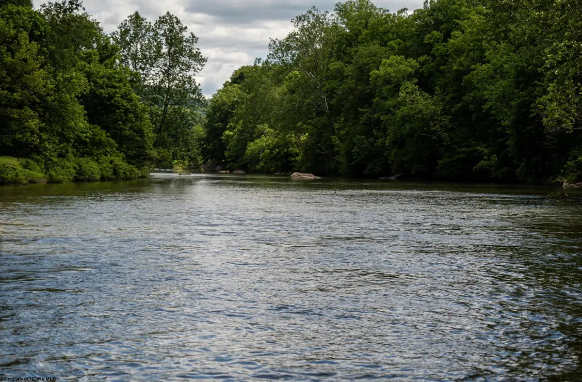 Lot 1 S Crim Avenue, Belington, WV 26250 - #1