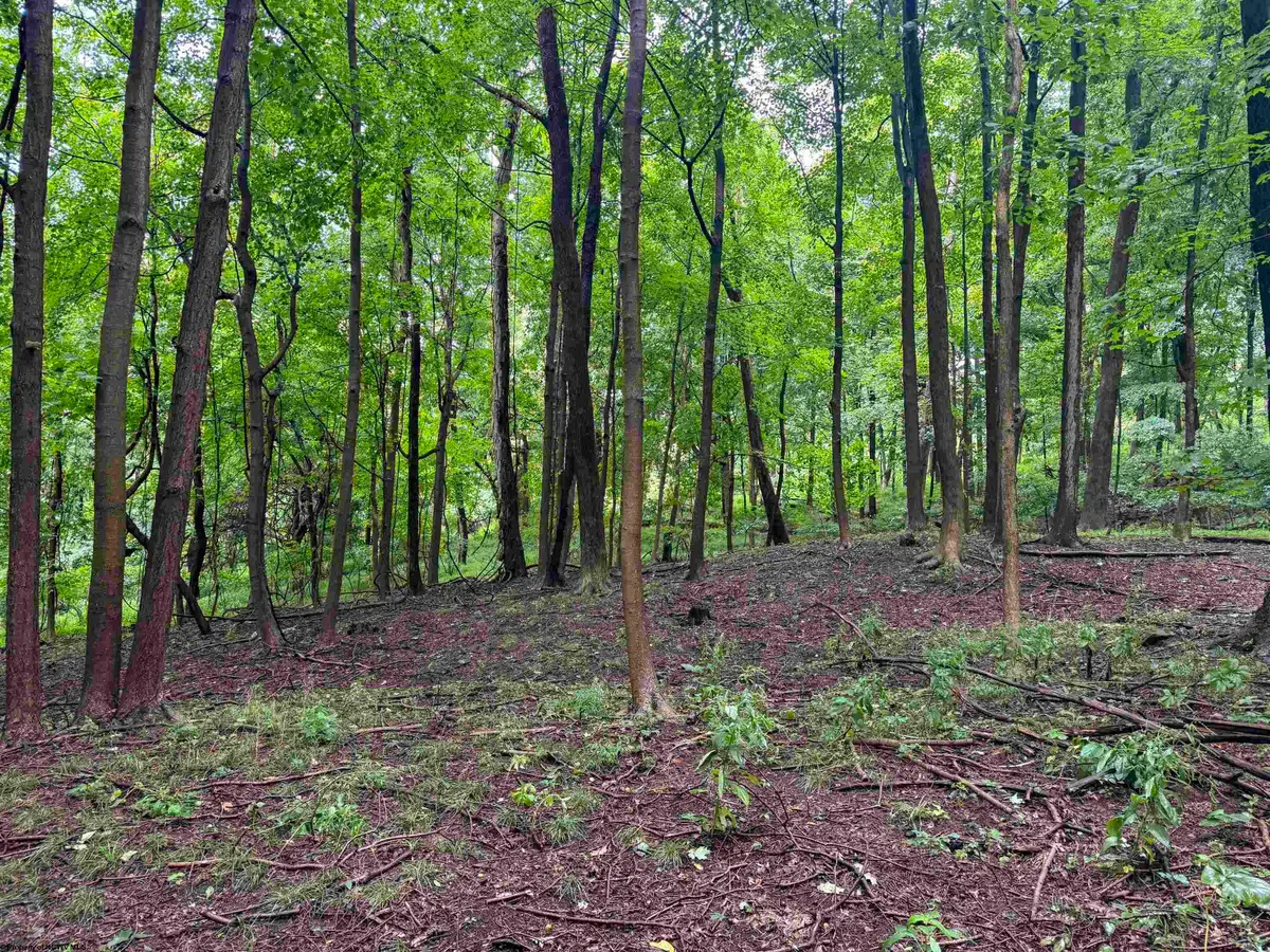 Lot 1 Weidman Run Road, Wheeling, WV 26003 - #1