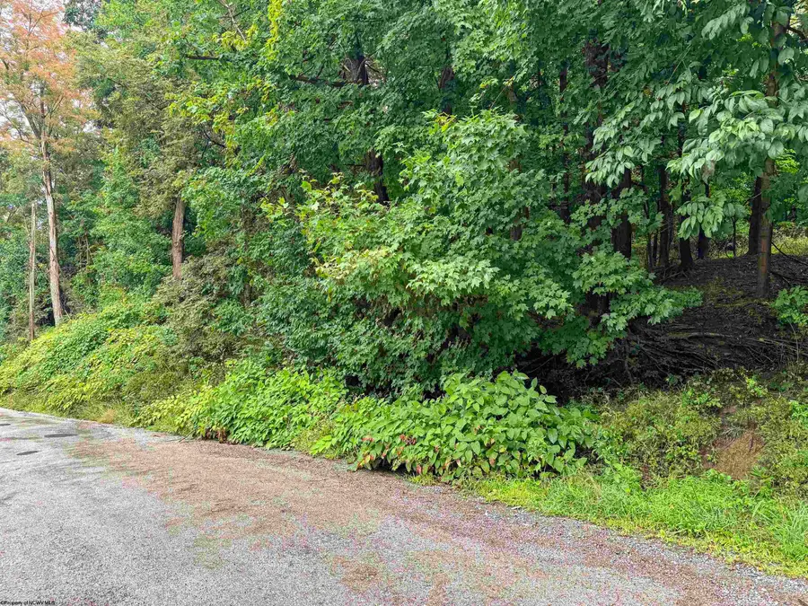 Lot 1 Weidman Run Road, Wheeling, WV 26003 - #3