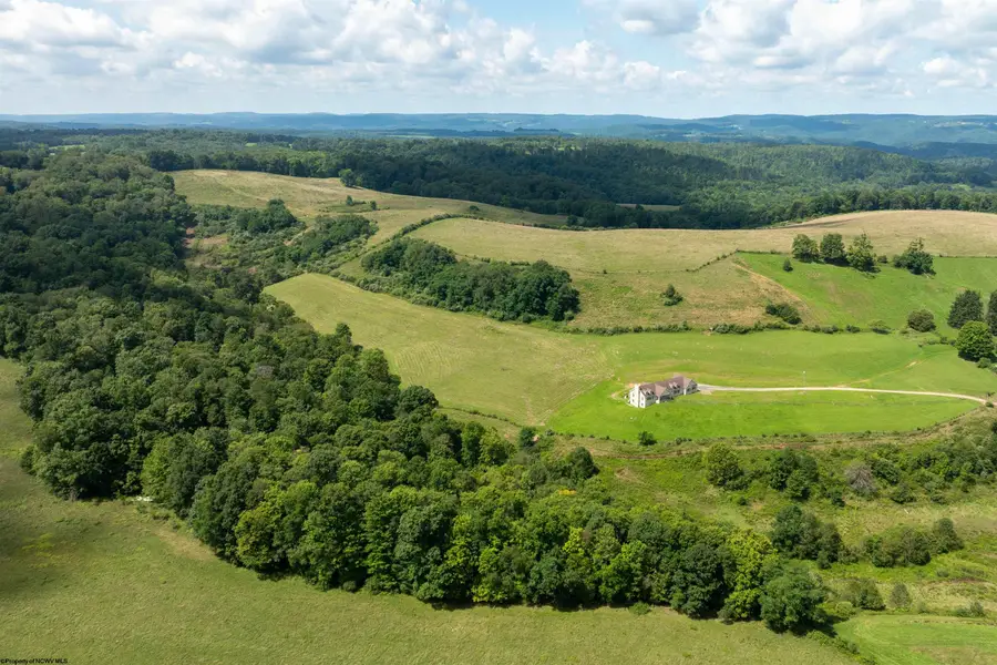 81 Homestead Lane, Bruceton Mills, WV 26525 - #2
