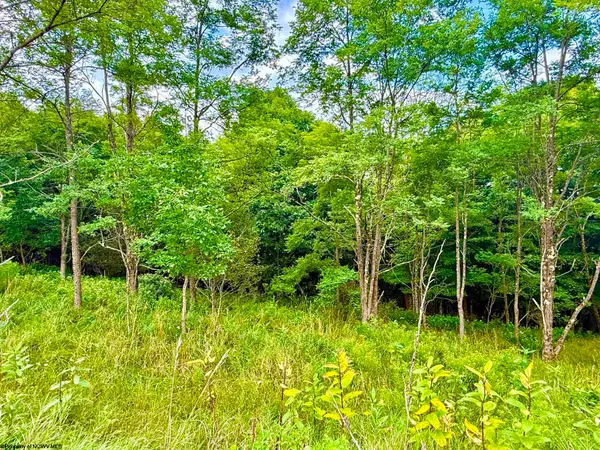 Lot 46 Thunderstruck Road, Harman, WV 26270-0000