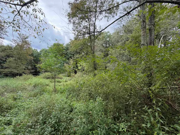 17366A Veterans Memorial Highway, Kingwood, WV 26537