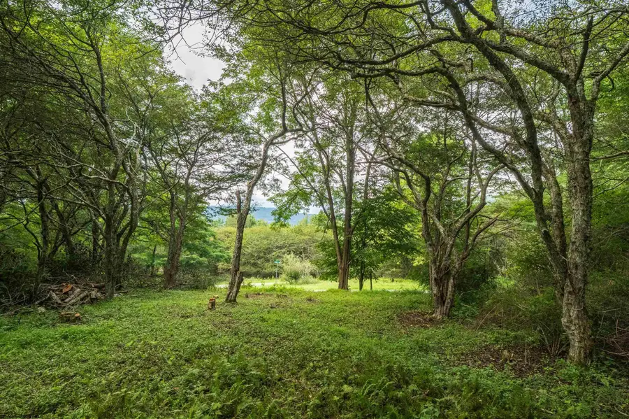 7 Roaring Plains Drive, Dryfork, WV 26263 - #2