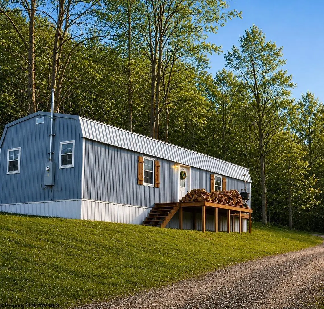 1088 Campbells Run Road, Metz, WV 26585 - #1