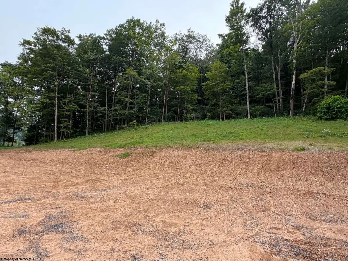 TBD Pharis Road, Belington, WV 26250 - #1