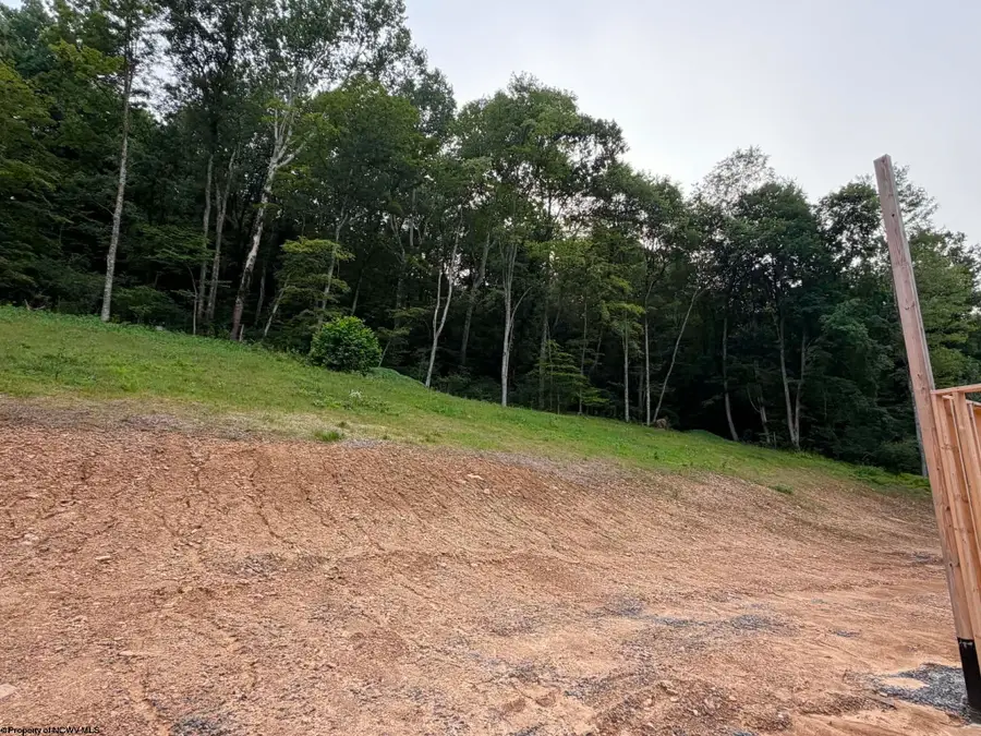 TBD Pharis Road, Belington, WV 26250 - #2
