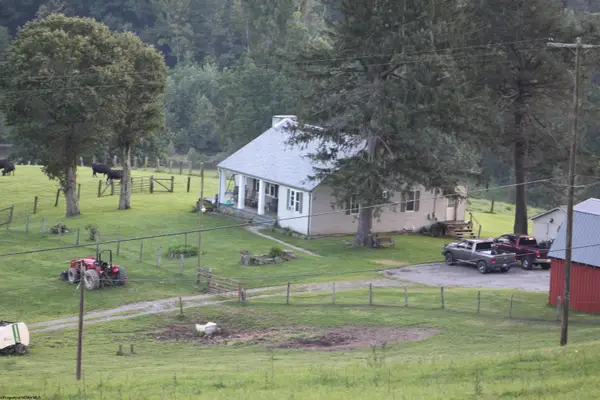 770 Bergoo Road, Webster Springs, WV 26288-9998