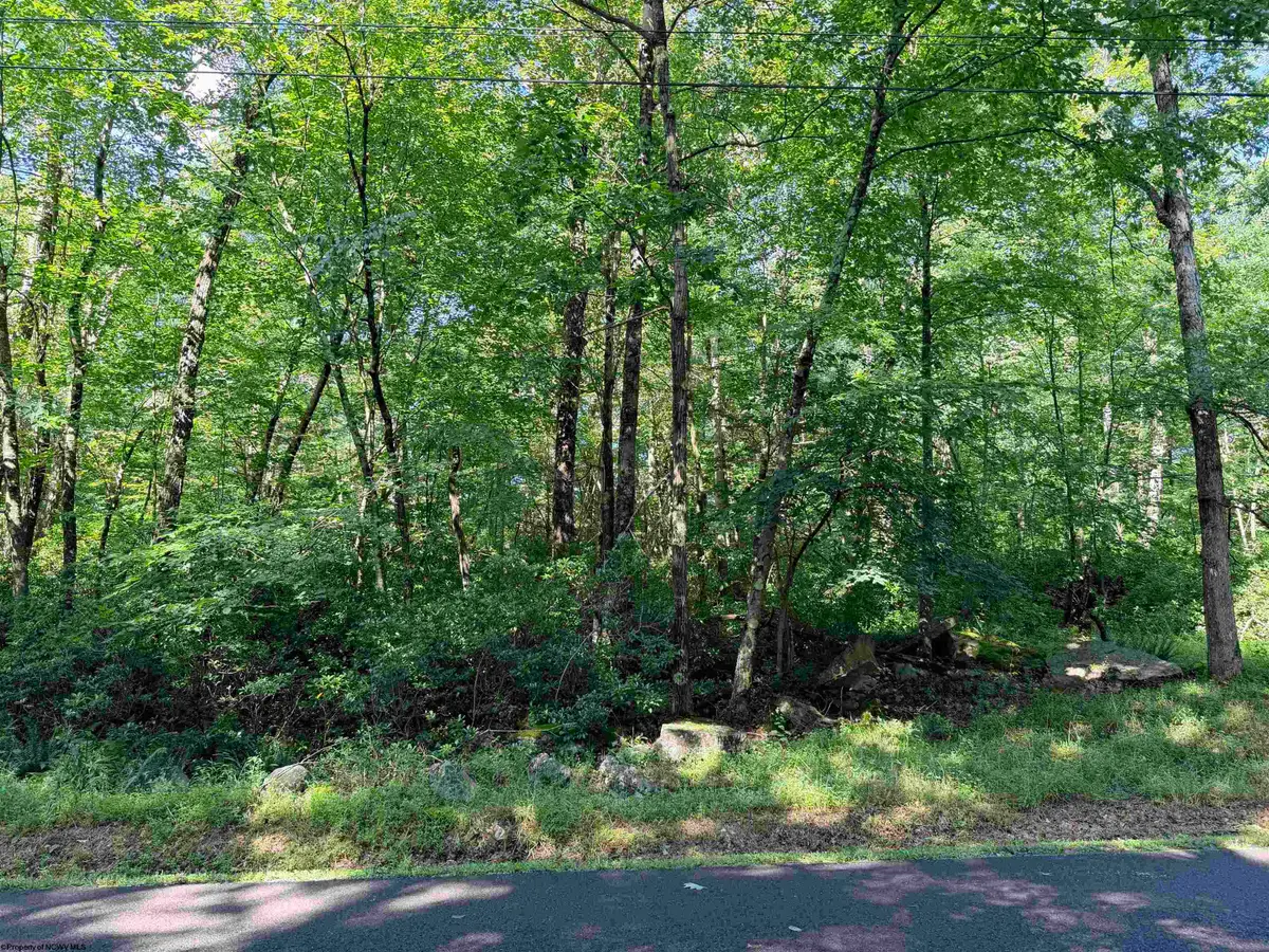 Lot 123 Redwood Drive, Terra Alta, WV 26764 - #1