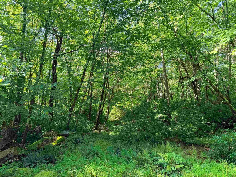 Lot 123 Redwood Drive, Terra Alta, WV 26764 - #2