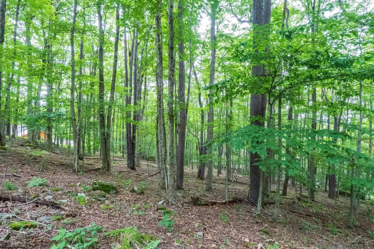 126 Mountainside Road, Davis, WV 26260 - #1