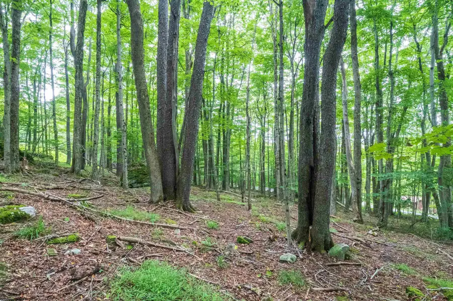 126 Mountainside Road, Davis, WV 26260 - #3