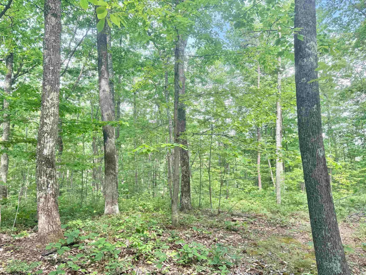 TBD Big Pigeon Road, Procious, WV 25164 - #1