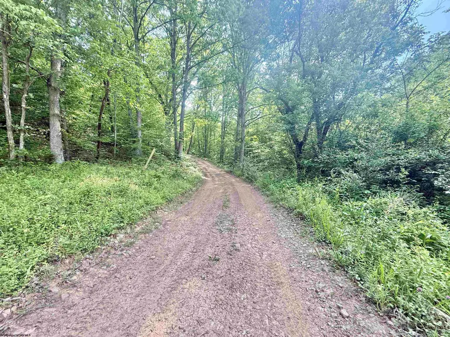TBD Big Pigeon Road, Procious, WV 25164 - #2