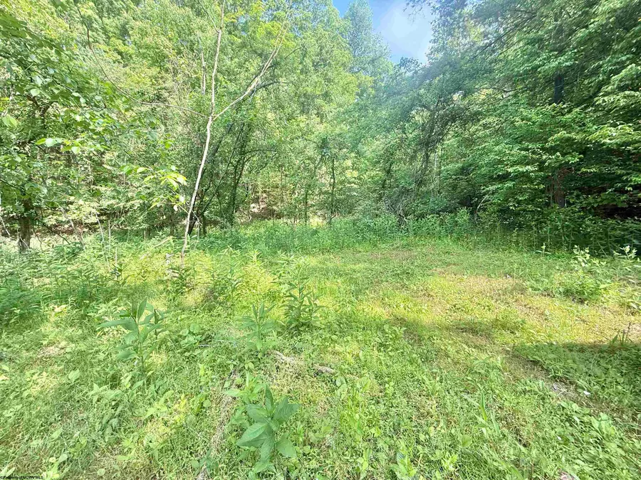 TBD Big Pigeon Road, Procious, WV 25164 - #3