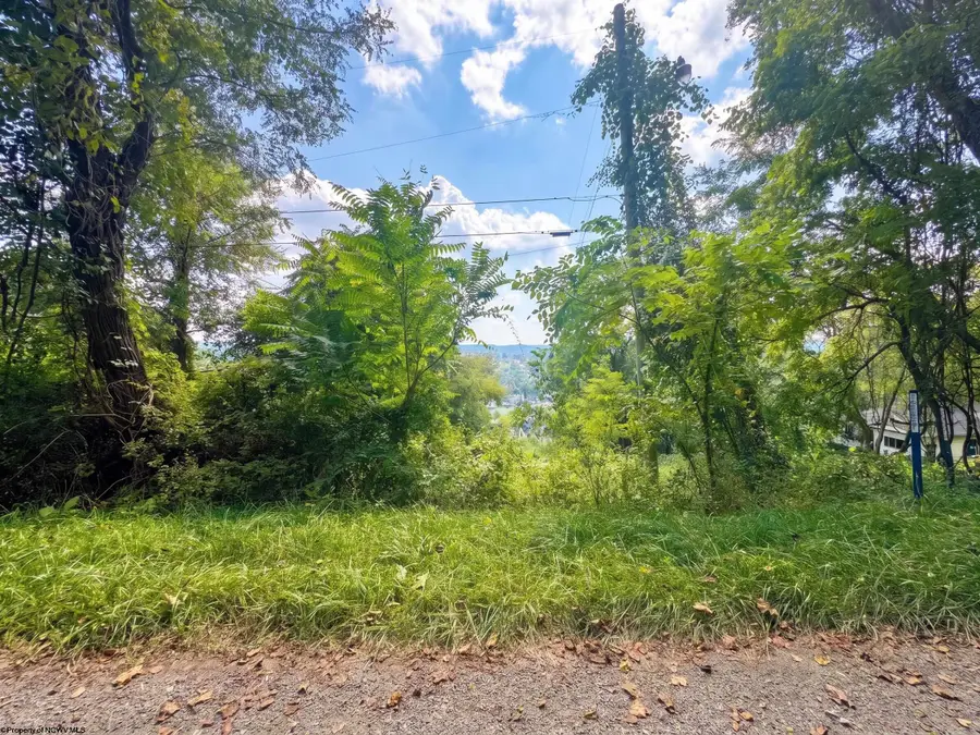 TBD Allegheny Avenue, Fairmont, WV 26554 - #3