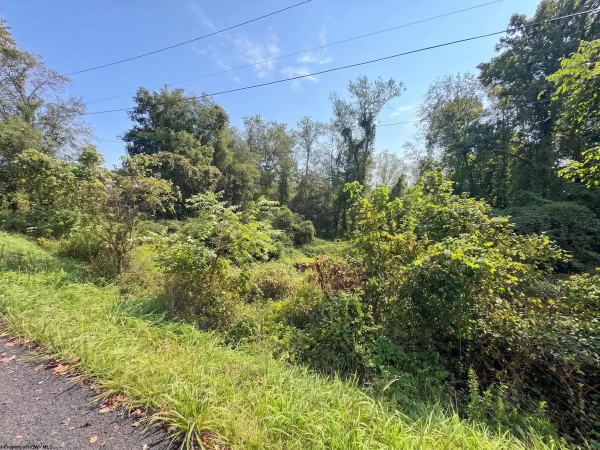 320 Ossaway Street, Fairmont, WV 26554 - #1