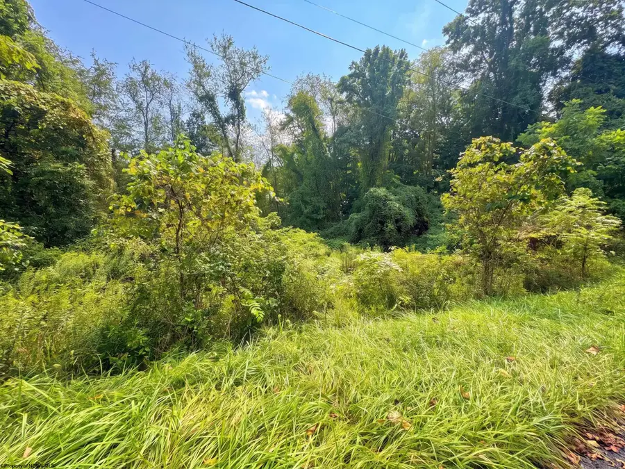 320 Ossaway Street, Fairmont, WV 26554 - #2