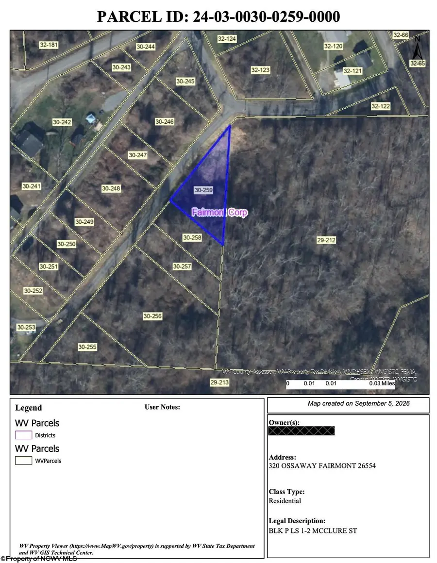 320 Ossaway Street, Fairmont, WV 26554 - #3