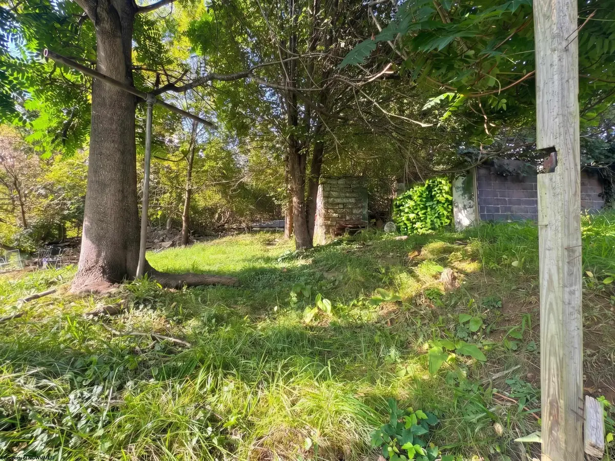215 Hamilton Street, Fairmont, WV 26554 - #1