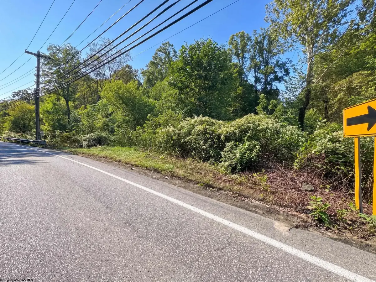 602 Cleveland Avenue, Fairmont, WV 26554 - #1