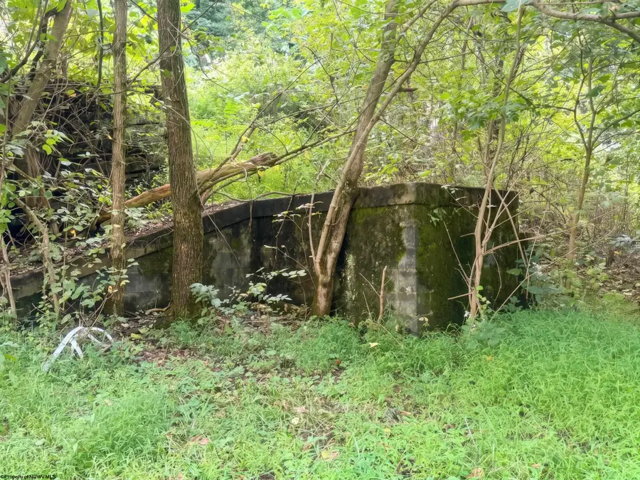 602 Cleveland Avenue, Fairmont, WV 26554 - #3
