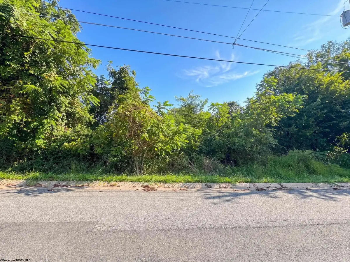 TBD Spruce Street, Fairmont, WV 26554 - #1