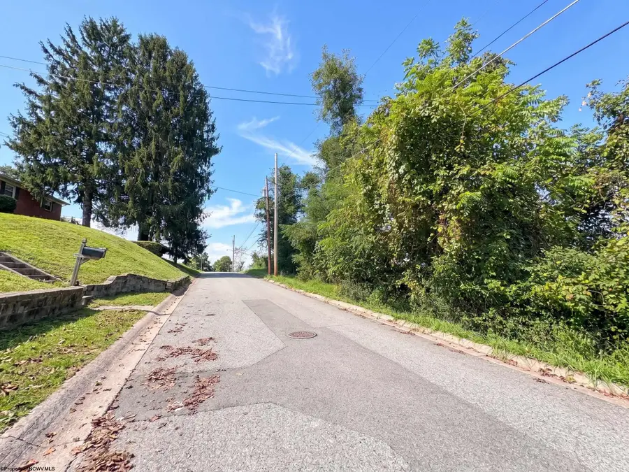 TBD Spruce Street, Fairmont, WV 26554 - #3