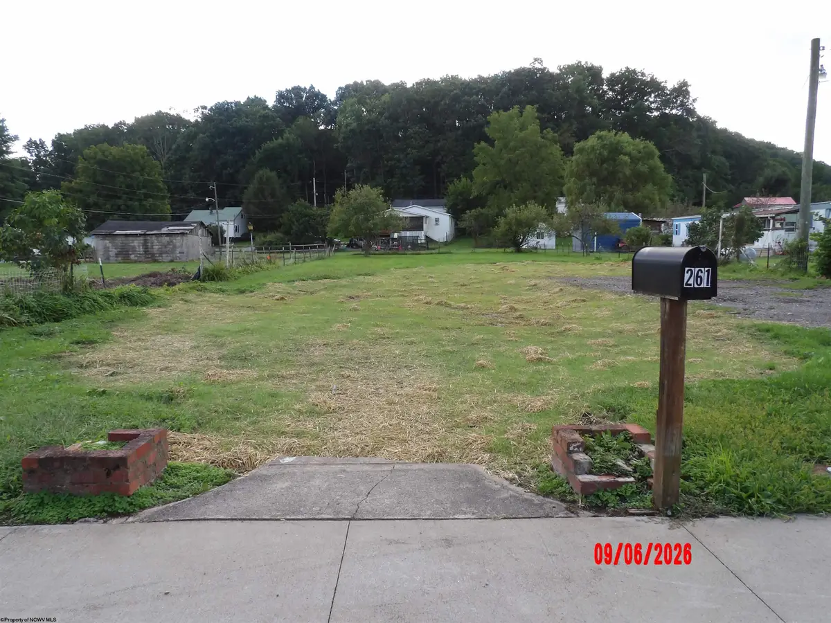 261 Conrad Street, Mill Creek, WV 26280 - #1