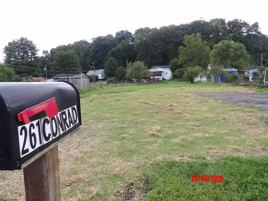 261 Conrad Street, Mill Creek, WV 26280 - #3