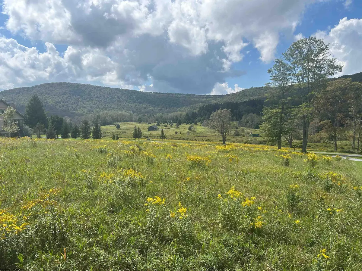 38 Waterfront Drive, Davis, WV 26260 - #1