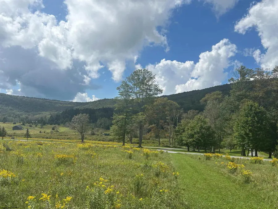 38 Waterfront Drive, Davis, WV 26260 - #2