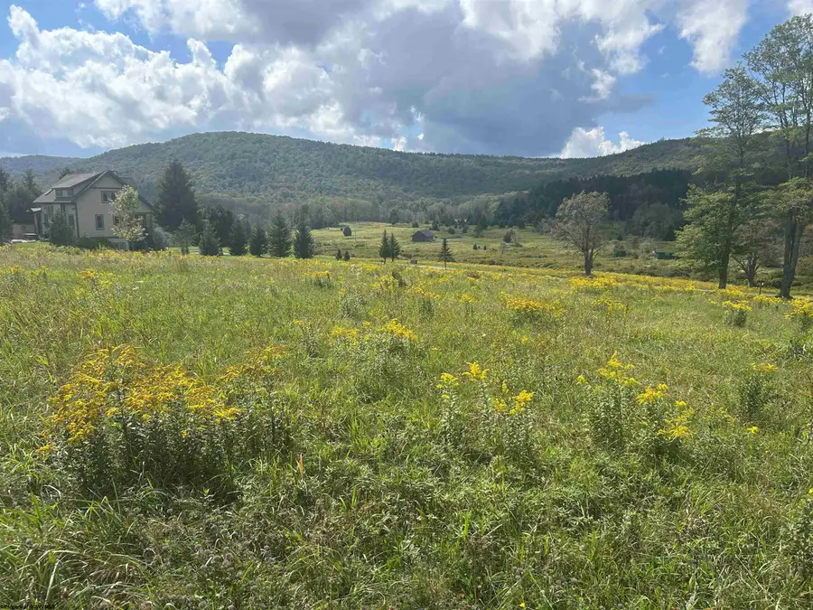 38 Waterfront Drive, Davis, WV 26260 - #3