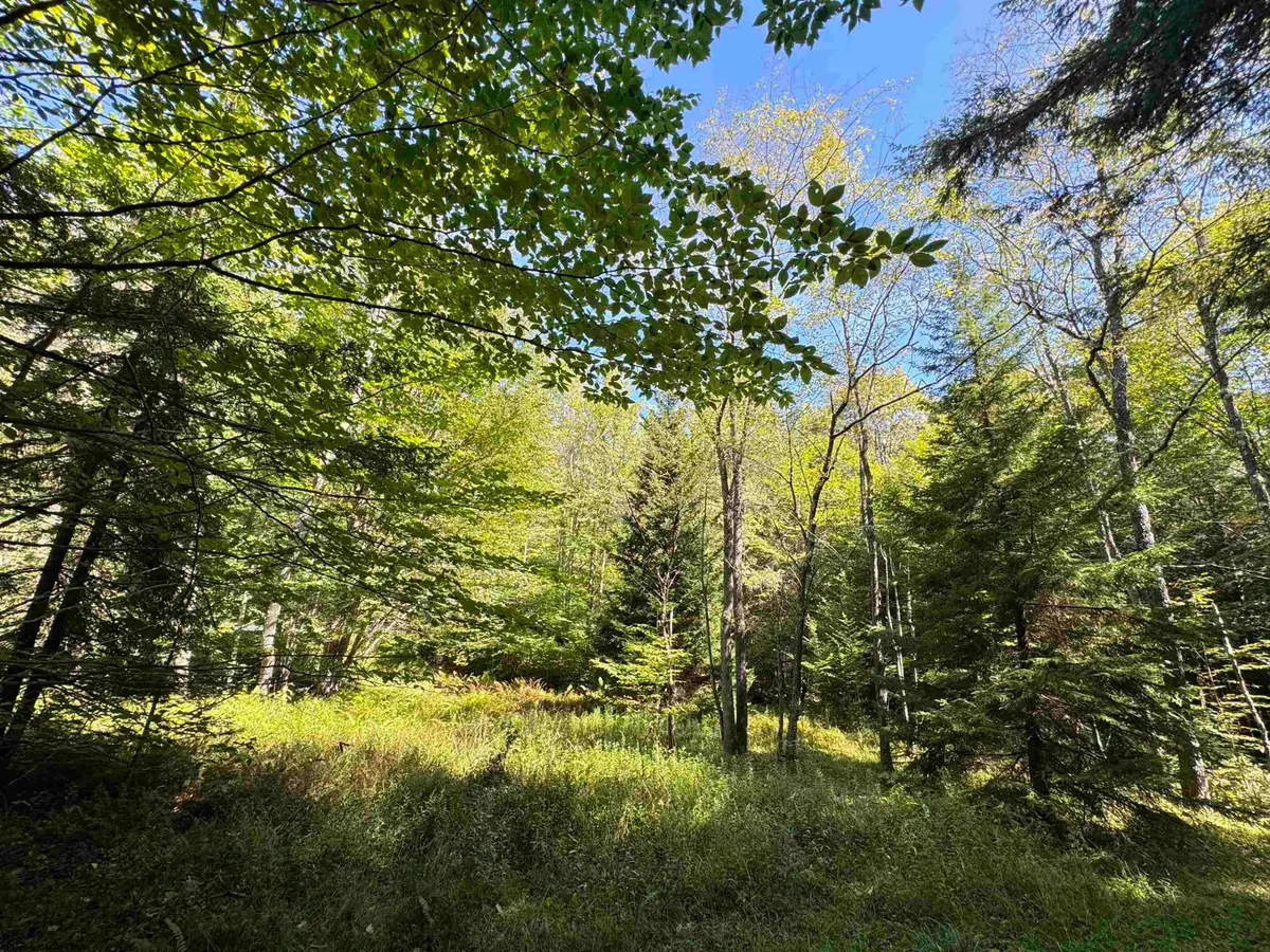 16 Black Bear Trail, Davis, WV 26260 - #1