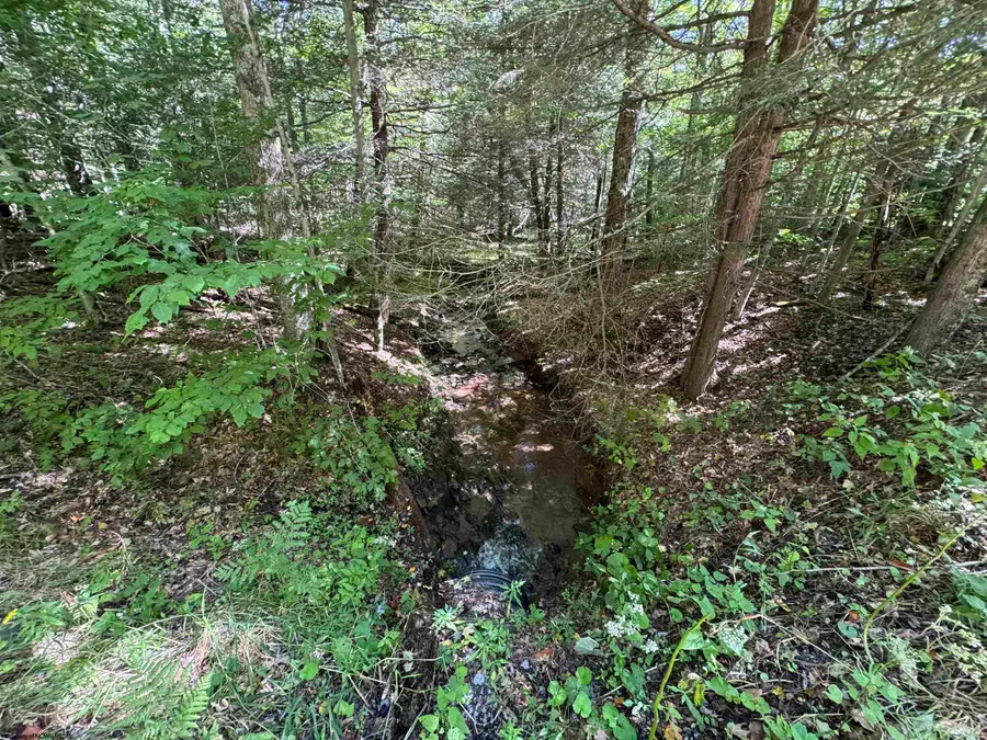 16 Black Bear Trail, Davis, WV 26260 - #3