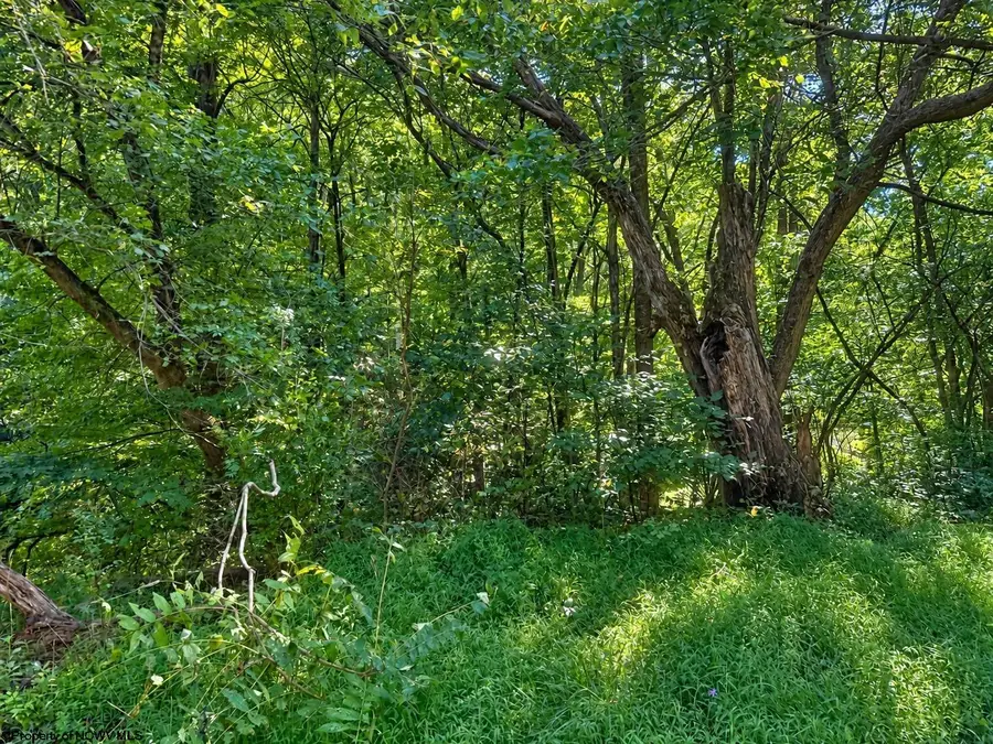 681 KNOTTSVILLE Road, Grafton, WV 26354 - #2