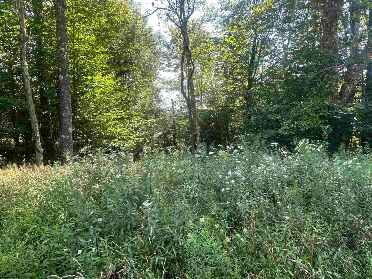 Lot 47 Lira Lane, Davis, WV 26260 - #1