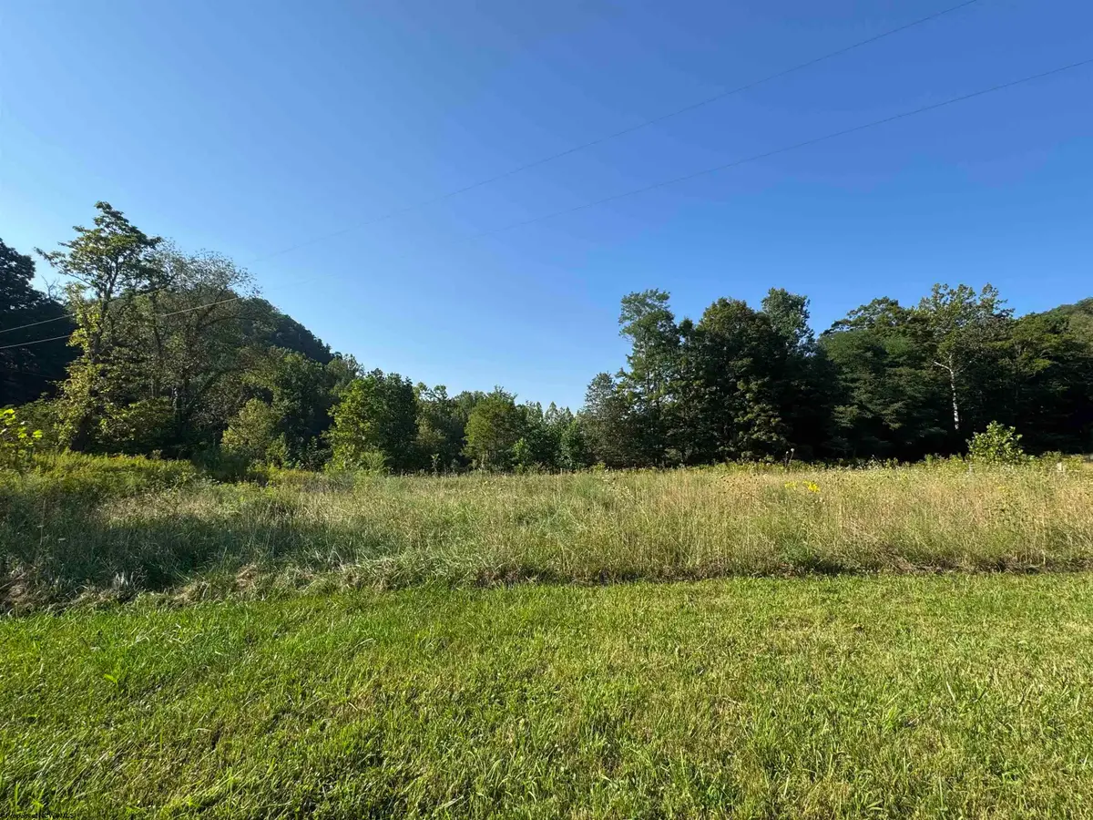 TBD Route 32 (RR), Dryfork, WV 26263 - #1