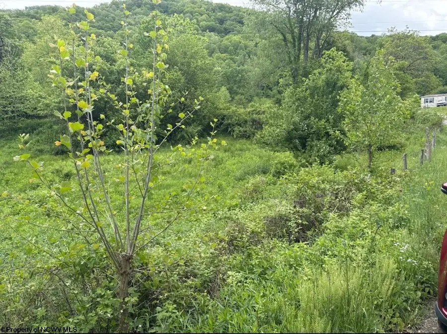 TBD Route 32 (RR), Dryfork, WV 26263 - #3