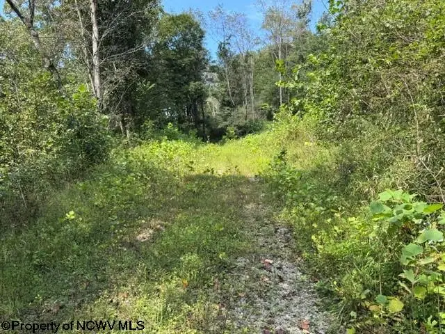 TBD Hagans Road, Rivesville, WV 26588 - #3