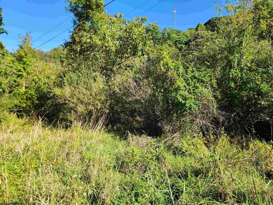 TBD HEAVENER Avenue, Stonewood, WV 26301 - #2