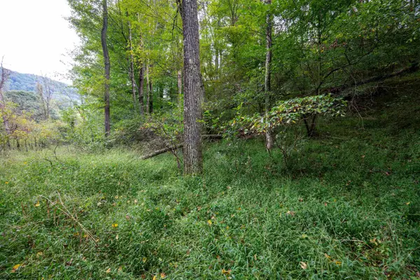 Lot 1 Saltlick Road, Rowlesburg, WV 26425