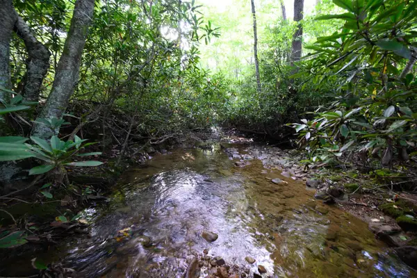 Lot 1 Deep Hollow Drive, Kingwood, WV 26537