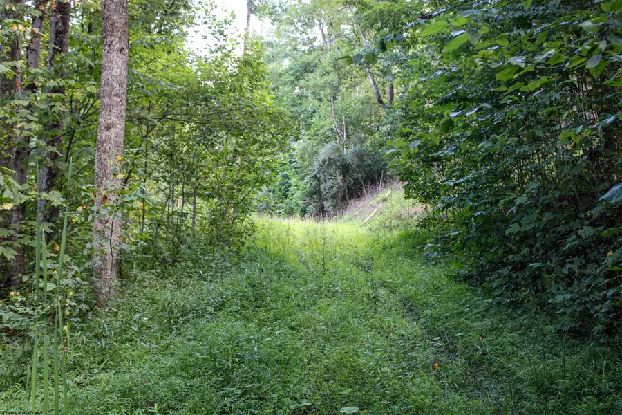 Lot 1 Cranesville Road, Terra Alta, WV 26764 - #3