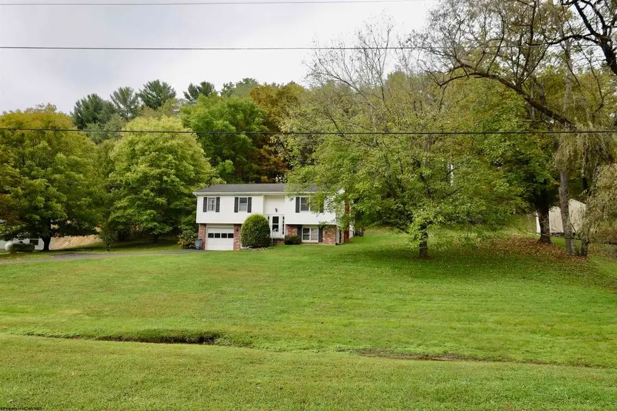 49 Berry Patch Lane, Elkins, WV 26241 - #3