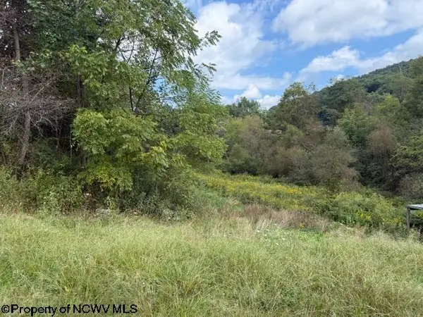 2229 Morgantown Pike, Belington, WV 26250