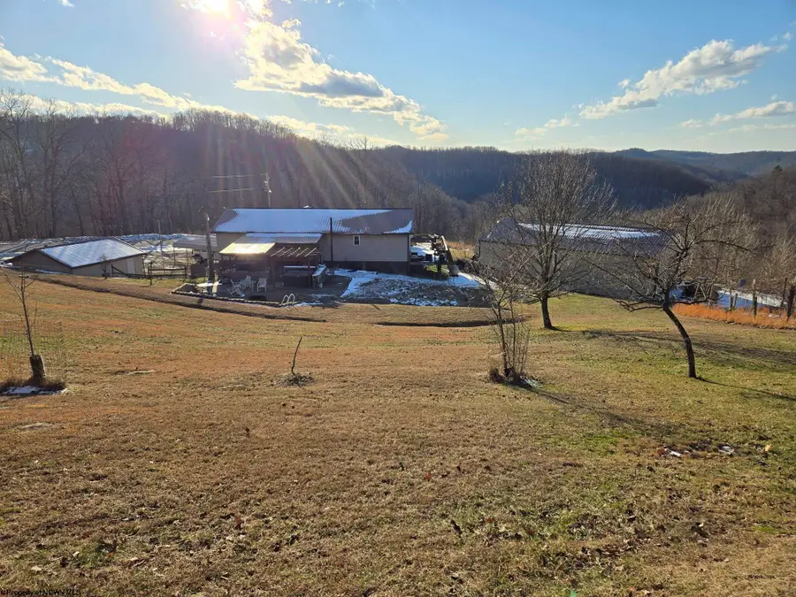 4790 Widen Dille Road, Birch River, WV 26610-8322 - #2