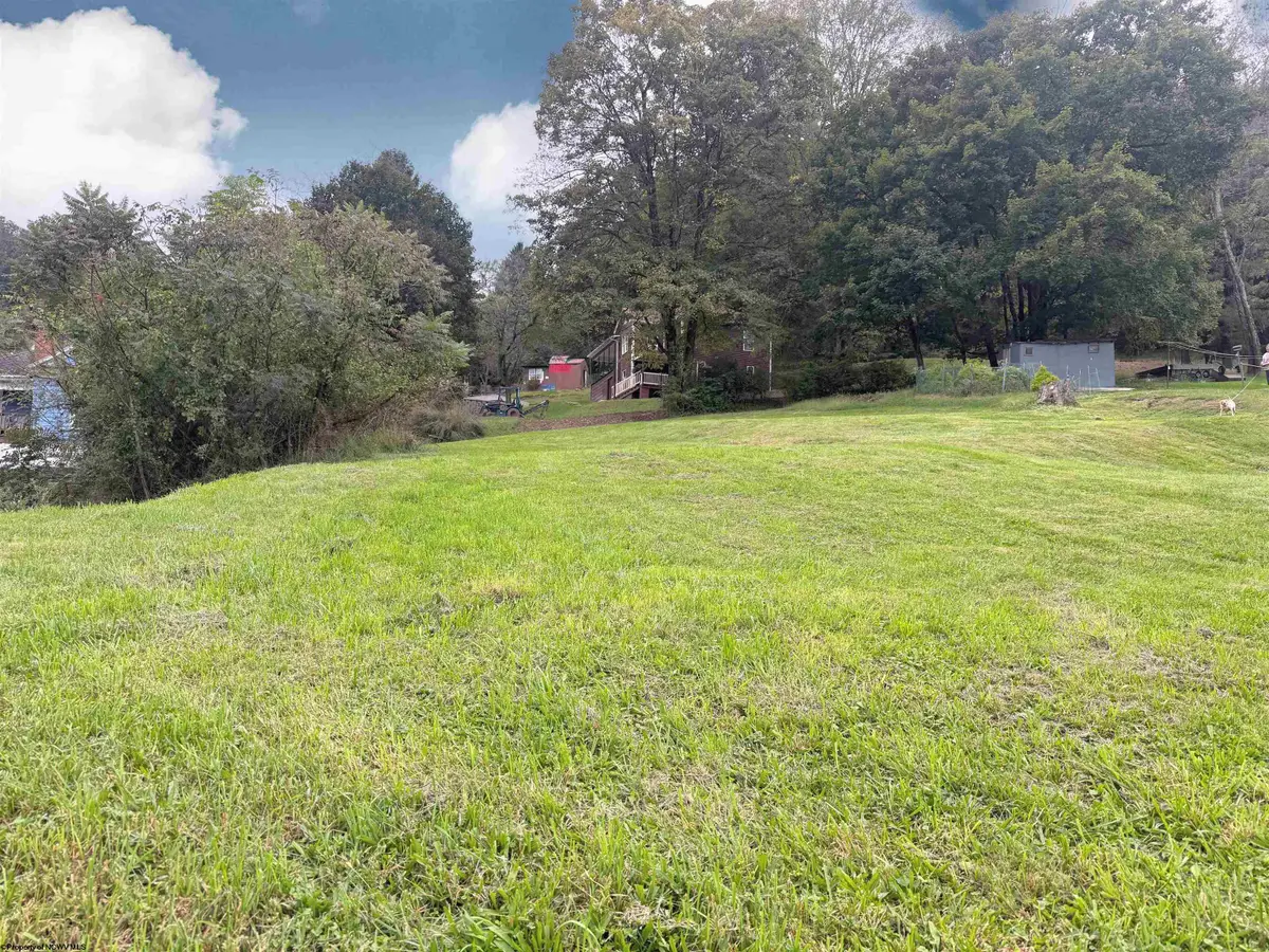 310 & 312 Warder Avenue, Grafton, WV 26354 - #1
