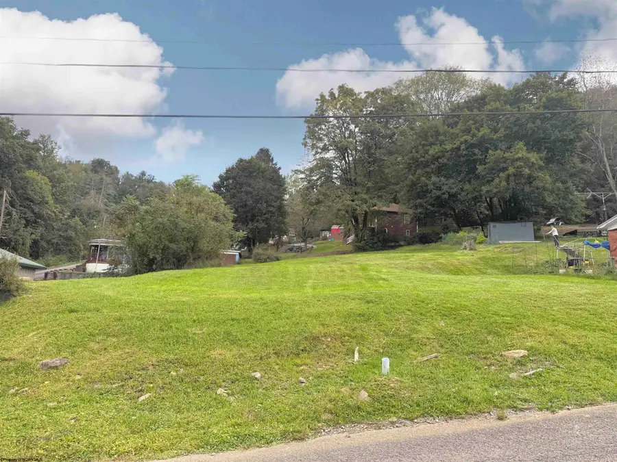 310 & 312 Warder Avenue, Grafton, WV 26354 - #3